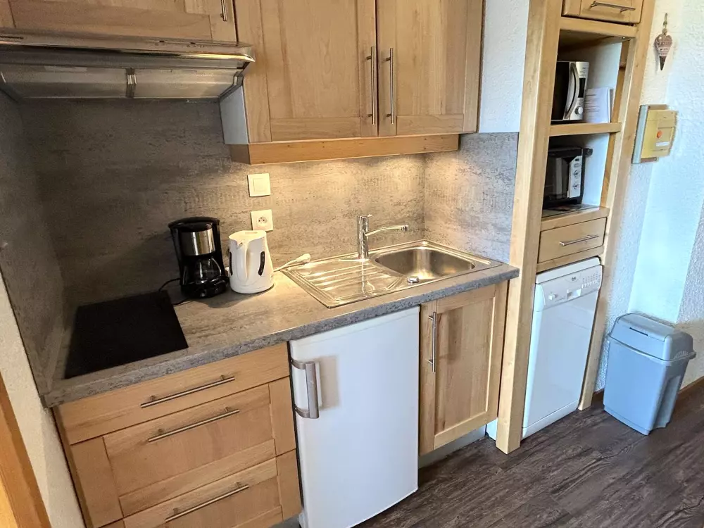 Location de Vacances Les Saisies 330