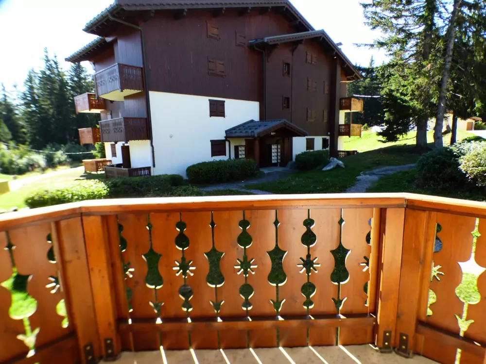 Location de Vacances Les Saisies 343