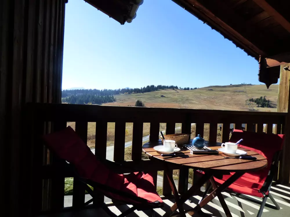 Location de Vacances Les Saisies 335