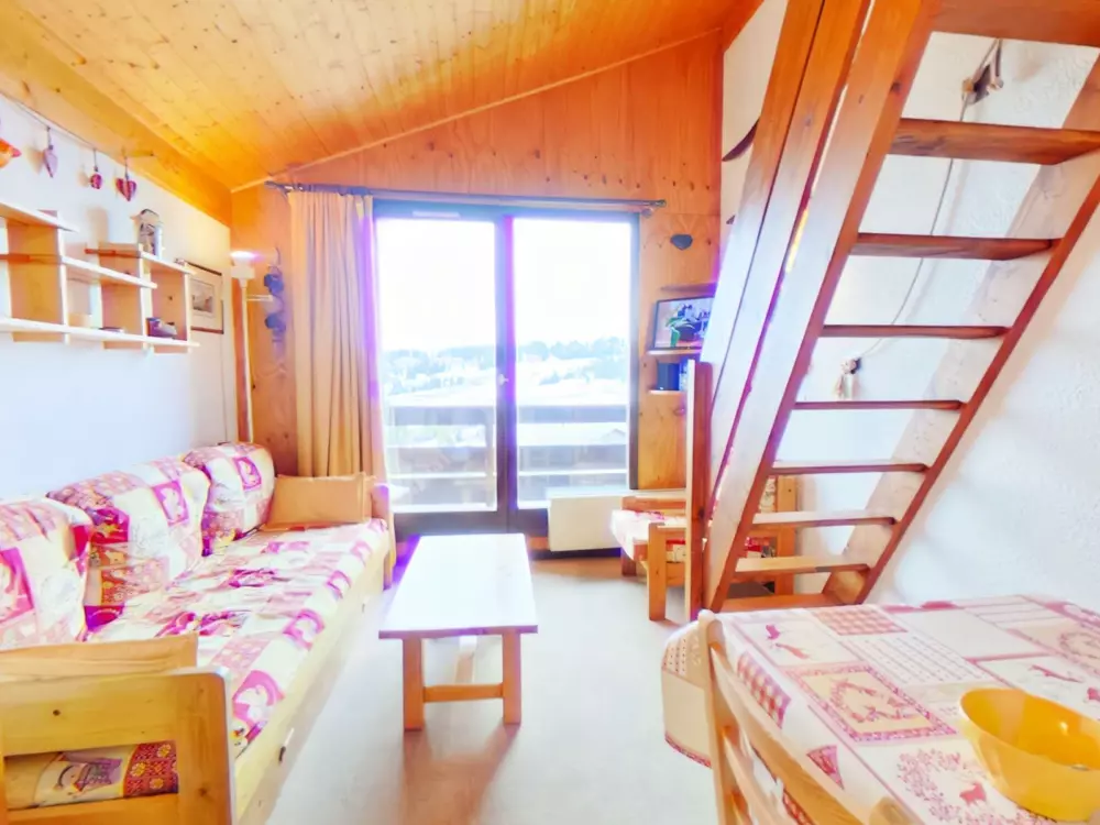 Location de Vacances Les Saisies 346