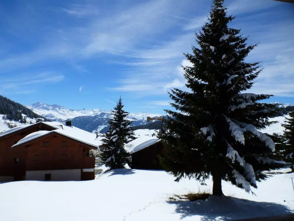 Maison de Vacances Les Saisies 366