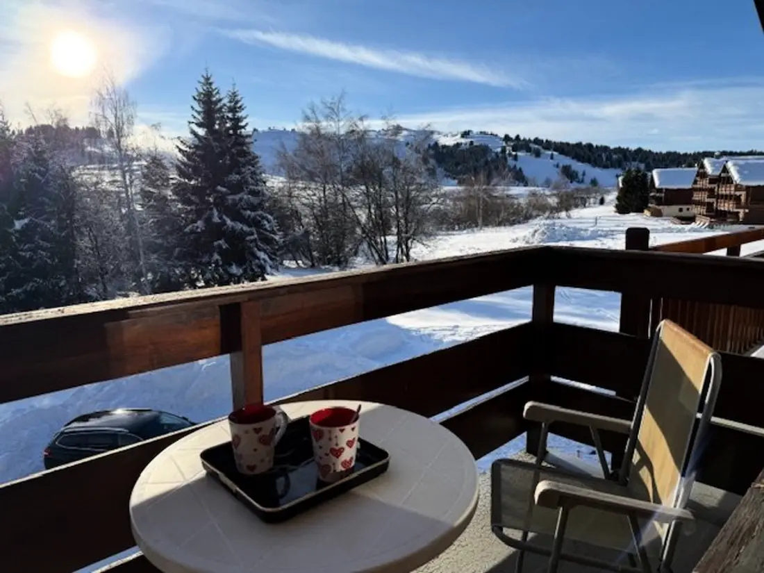 Location de Vacances Les Saisies 381