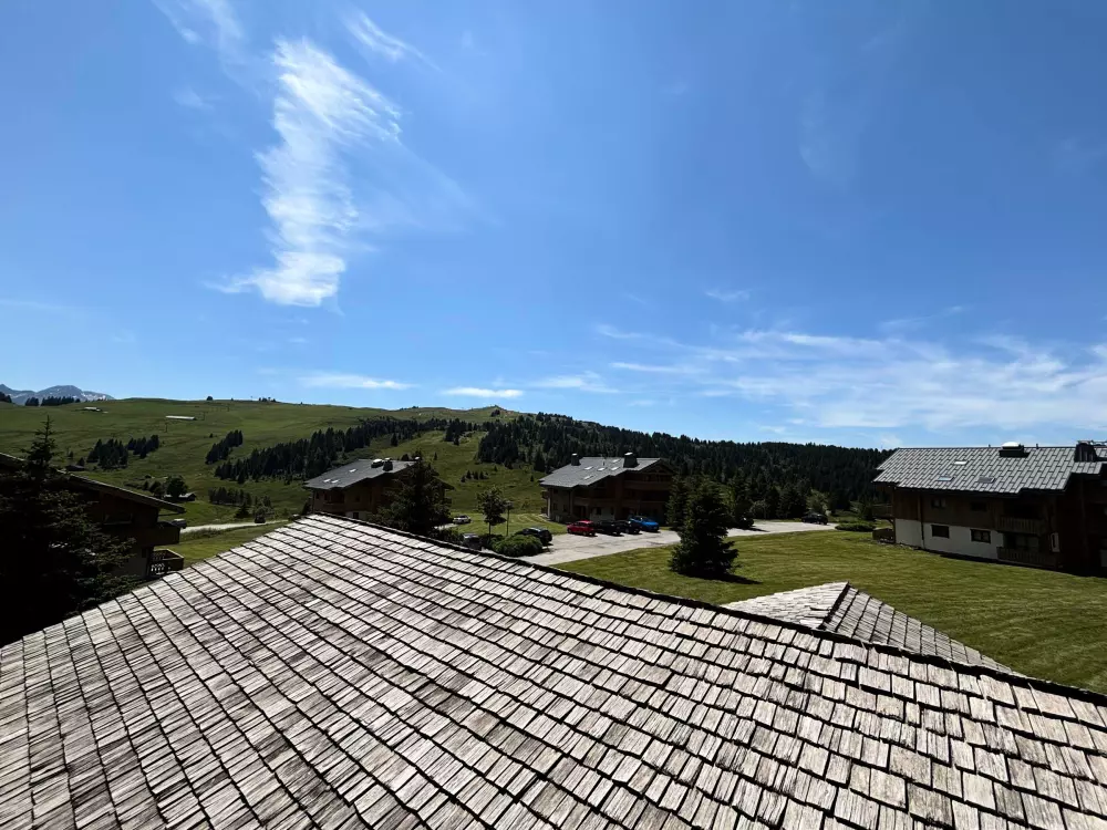 Location de Vacances Les Saisies 388