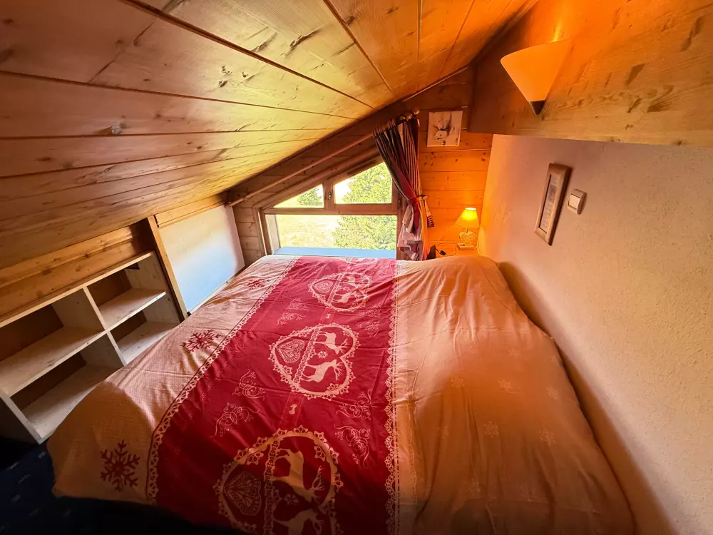 Location de Vacances Les Saisies 390