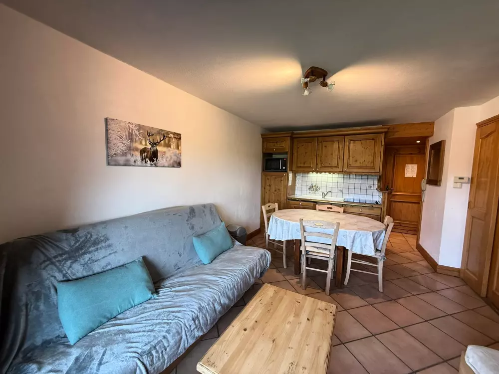 Location de Vacances Les Saisies 393