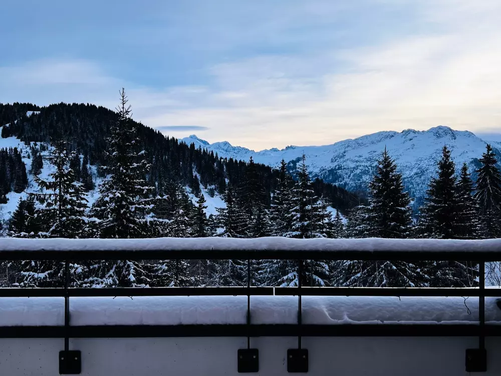 Location de Vacances Les Saisies 419