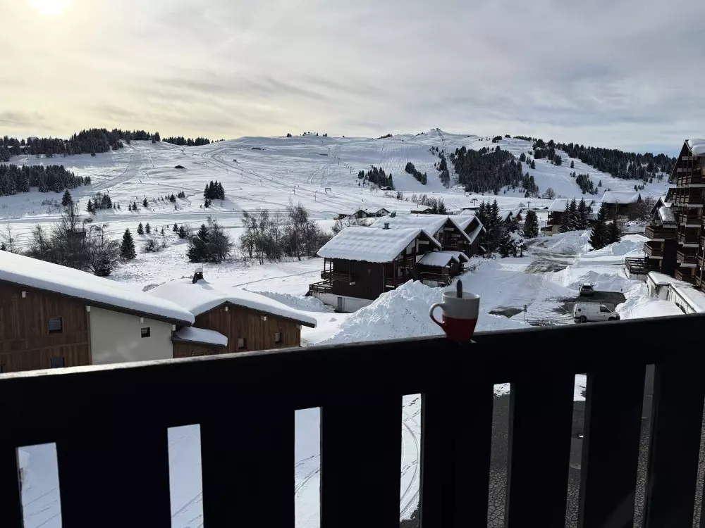 Location de Vacances Les Saisies 431