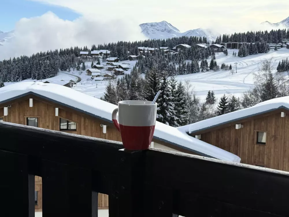 Location de Vacances Les Saisies 431