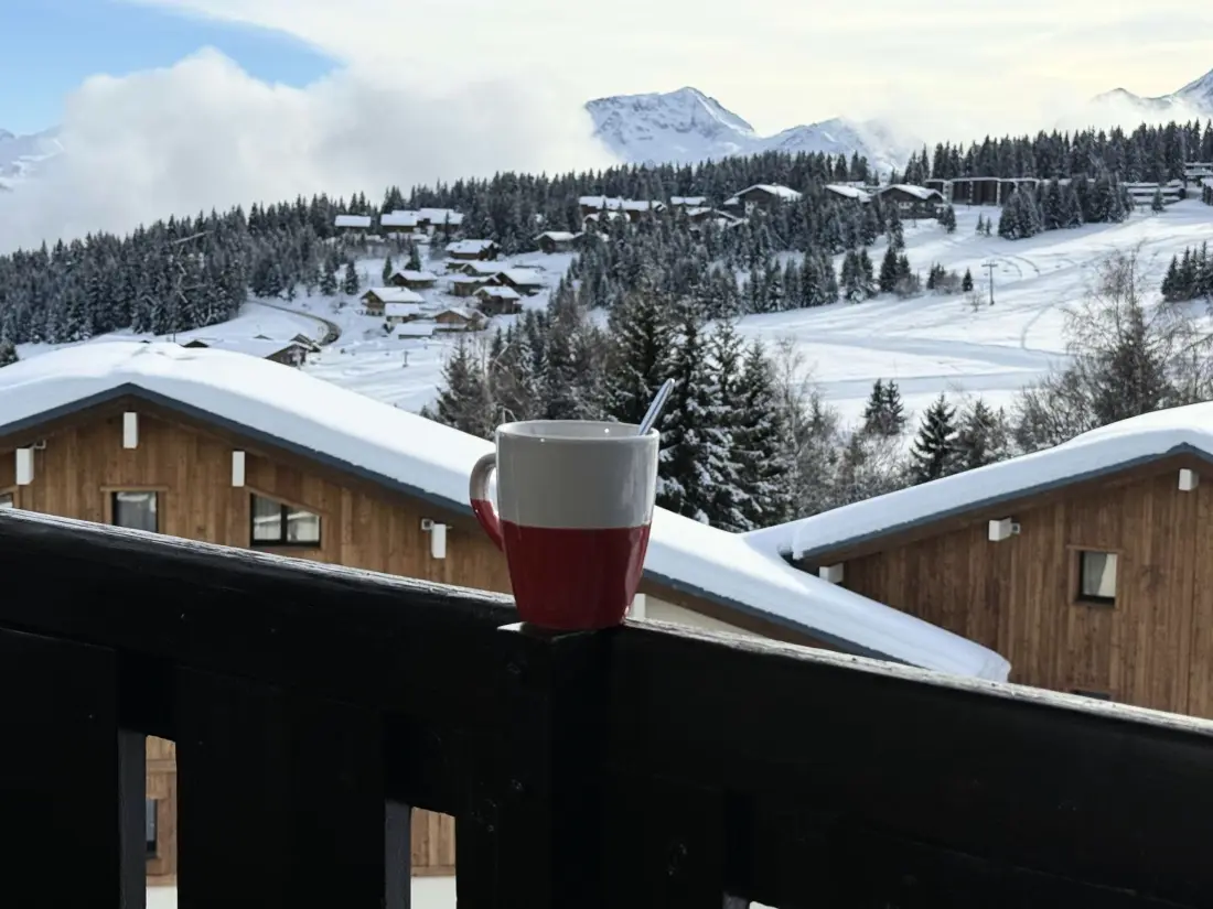 Location de Vacances Les Saisies 431