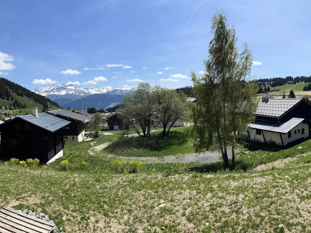 Location de Vacances Les Saisies 446