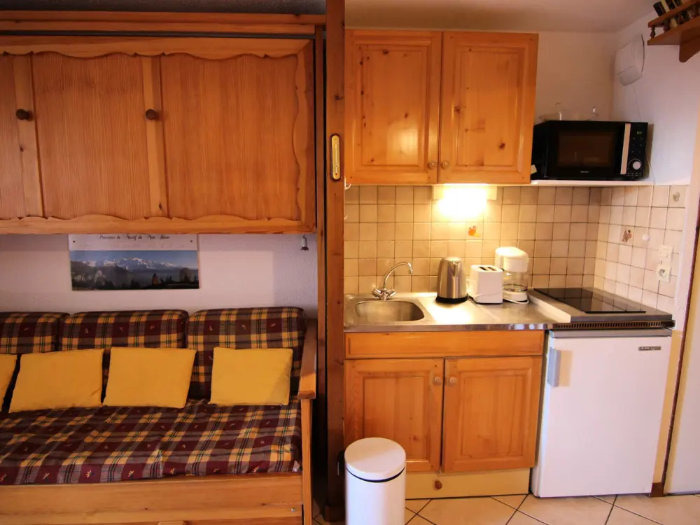 Location de Vacances Les Saisies 435