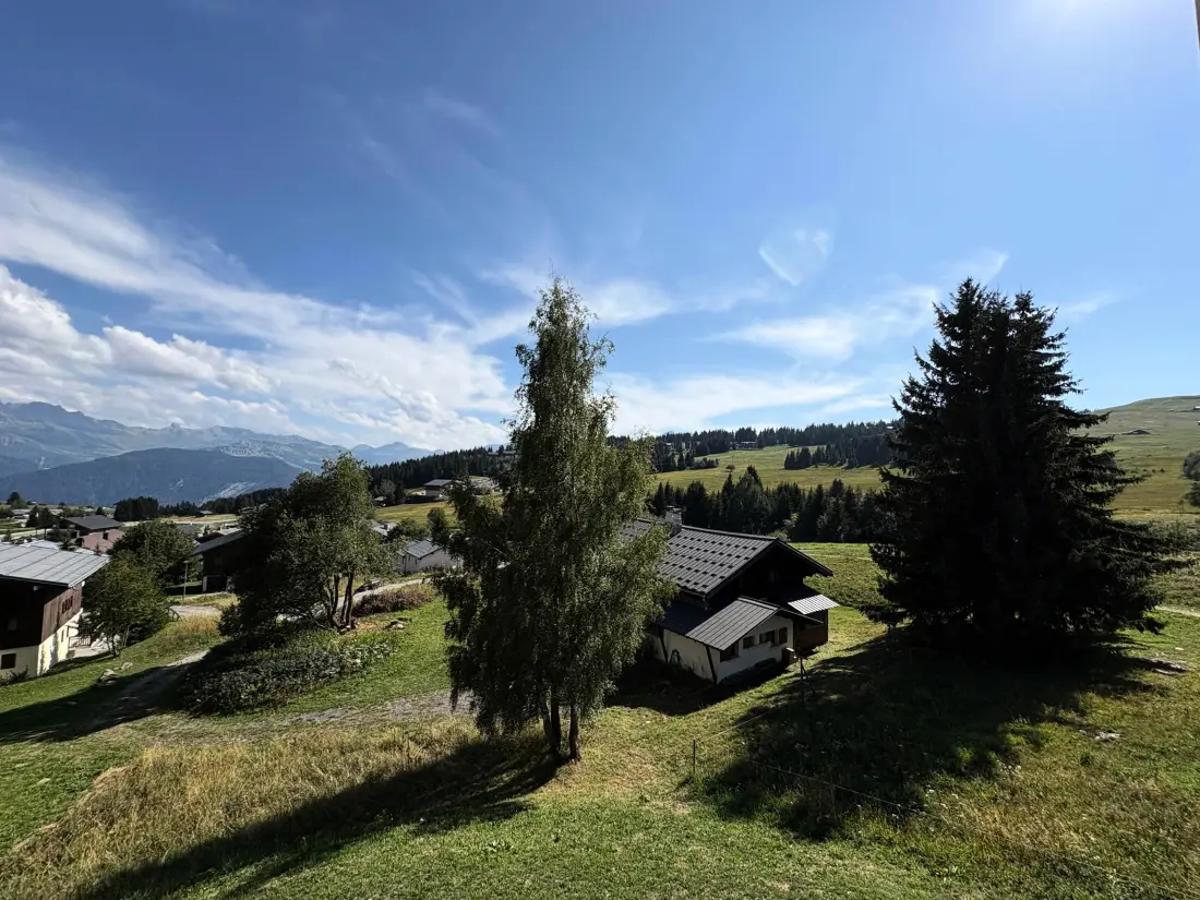 Location de Vacances Les Saisies 446