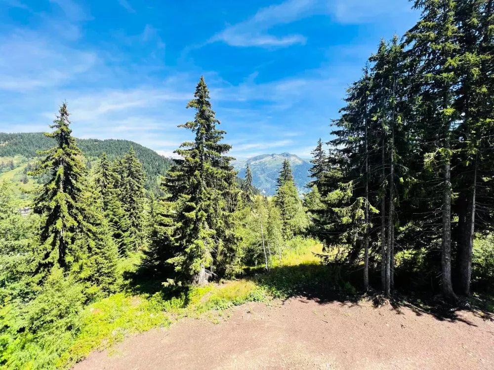 Location de Vacances Les Saisies 450