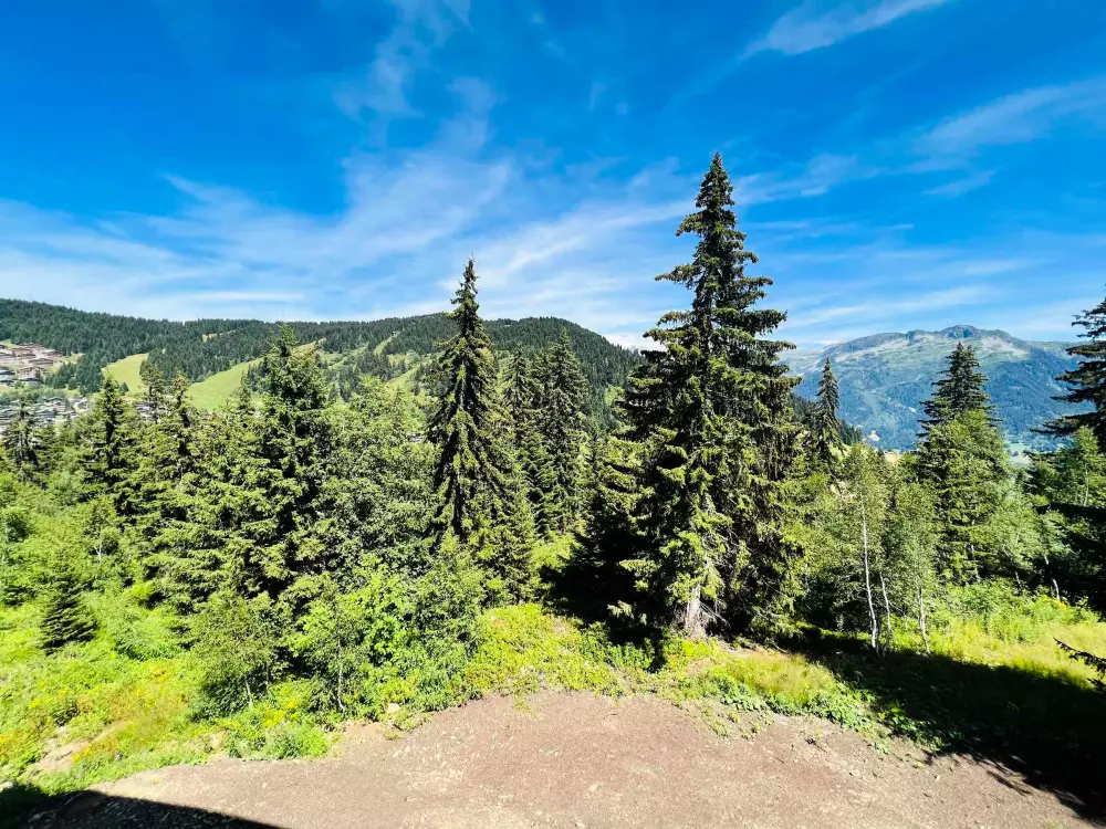 Location de Vacances Les Saisies 450