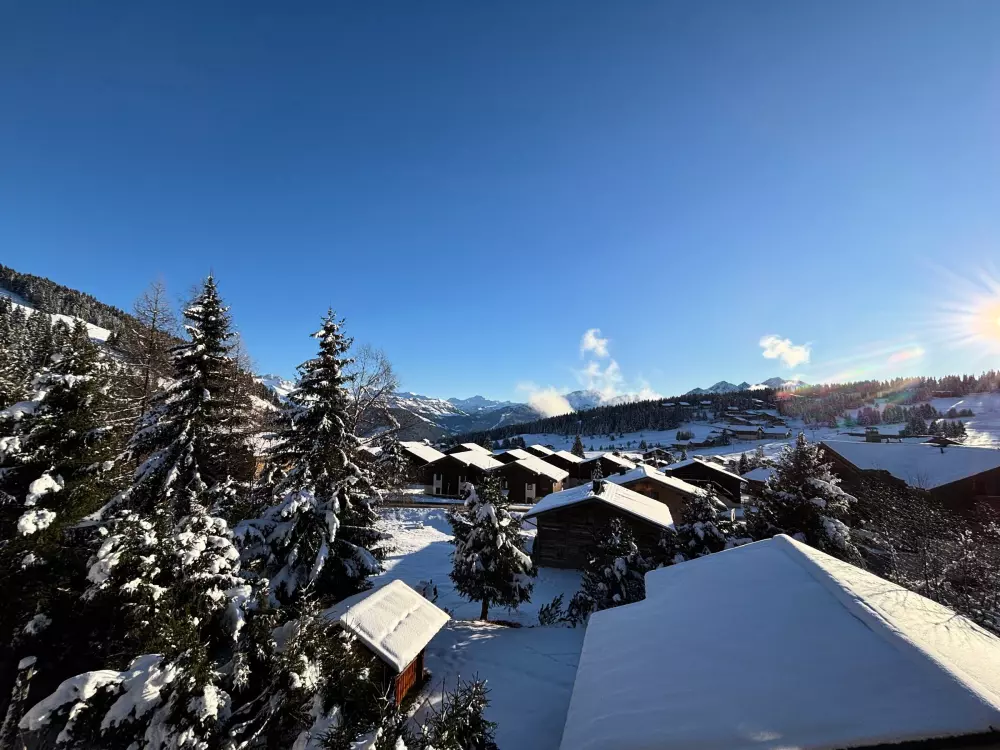 Location de Vacances Les Saisies 475