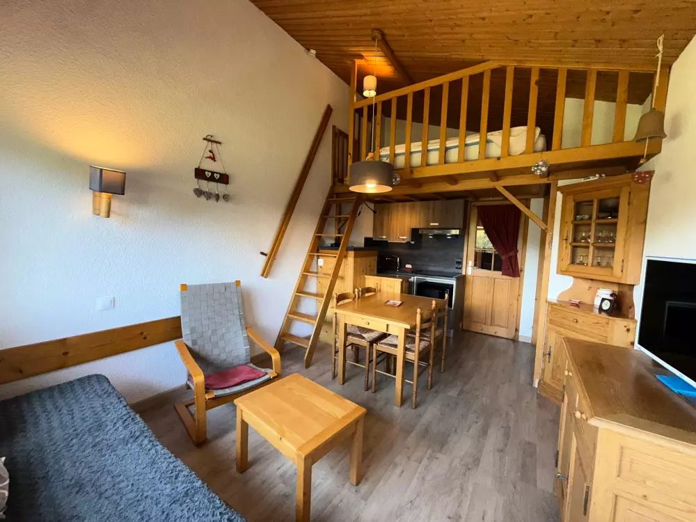 Location de Vacances Les Saisies 481