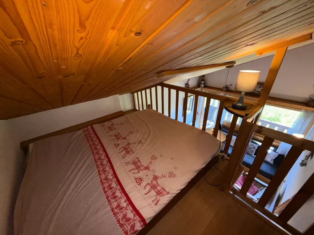 Location de Vacances Les Saisies 481