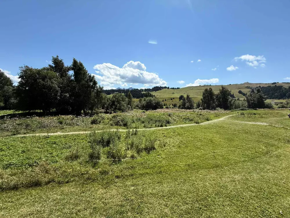 Location de Vacances Les Saisies 481