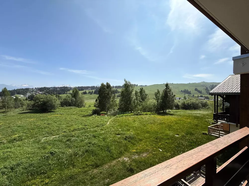 Location de Vacances Les Saisies 482