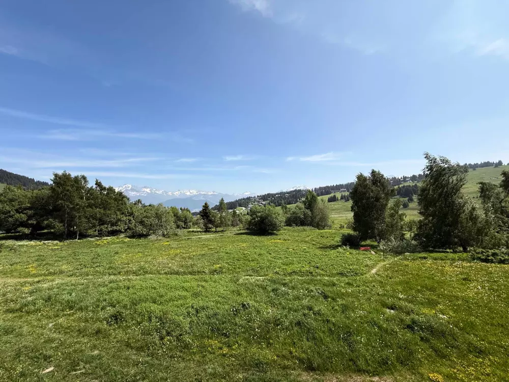 Location de Vacances Les Saisies 482