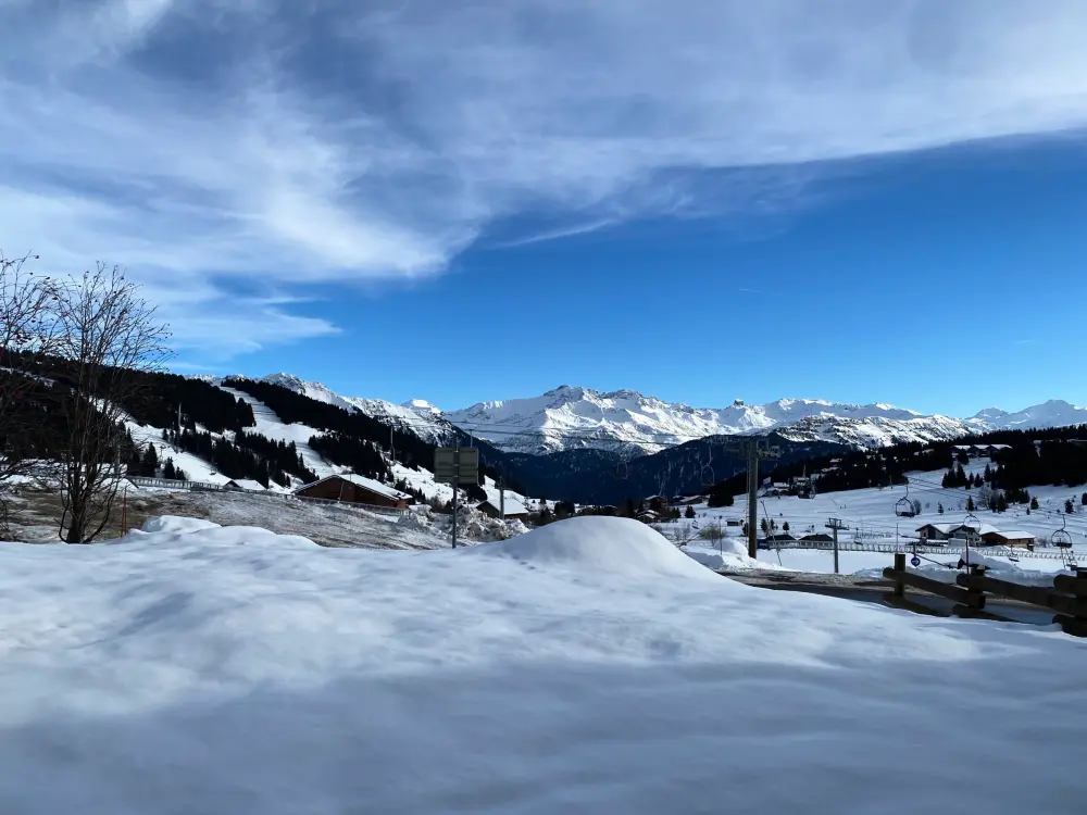 Location de Vacances Les Saisies 488