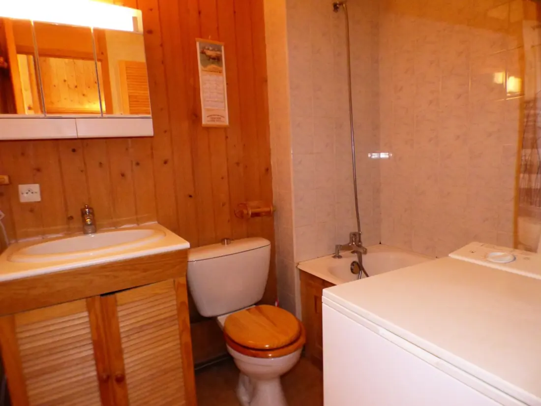 Location de Vacances Les Saisies 496