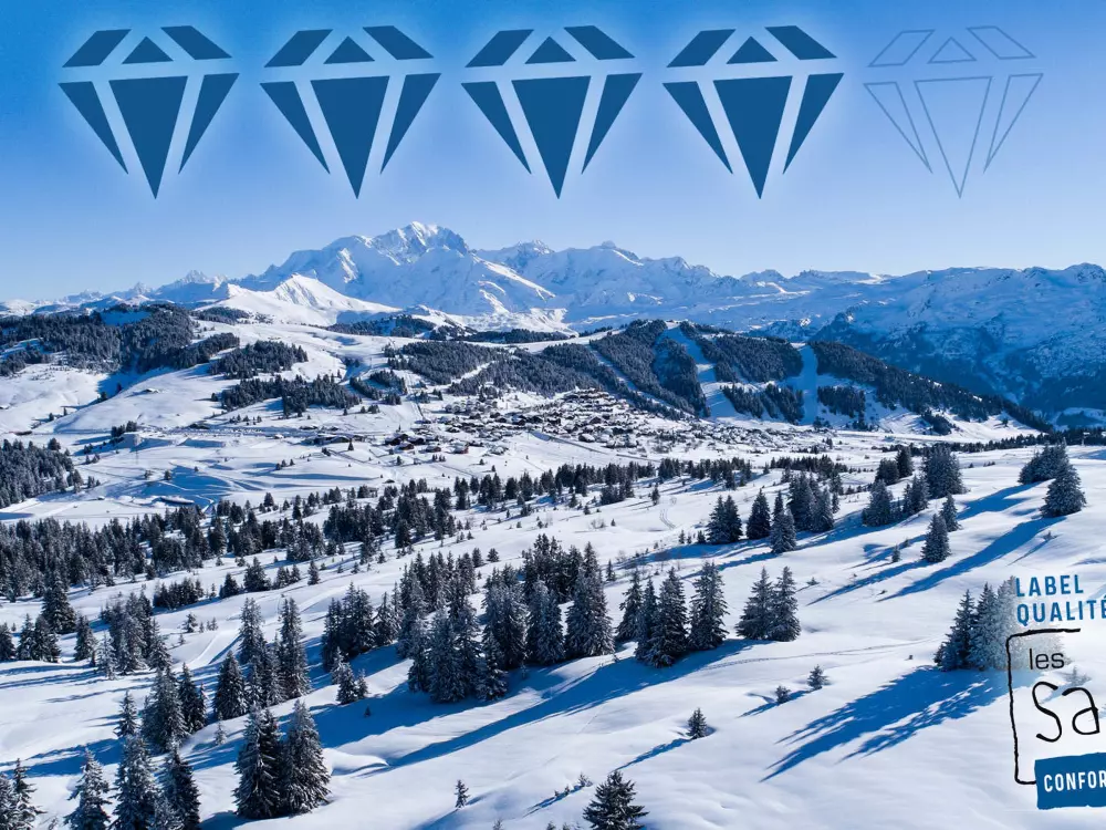 Location de Vacances Les Saisies 61