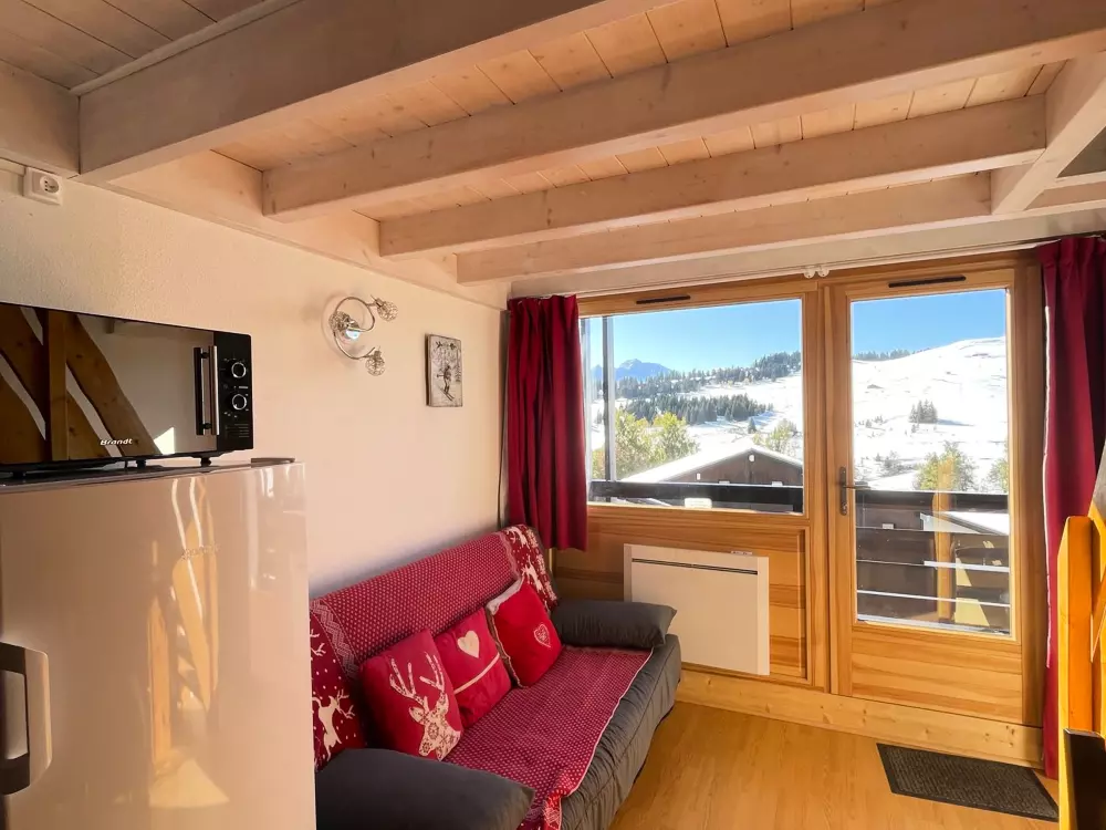 Location de Vacances Les Saisies 61