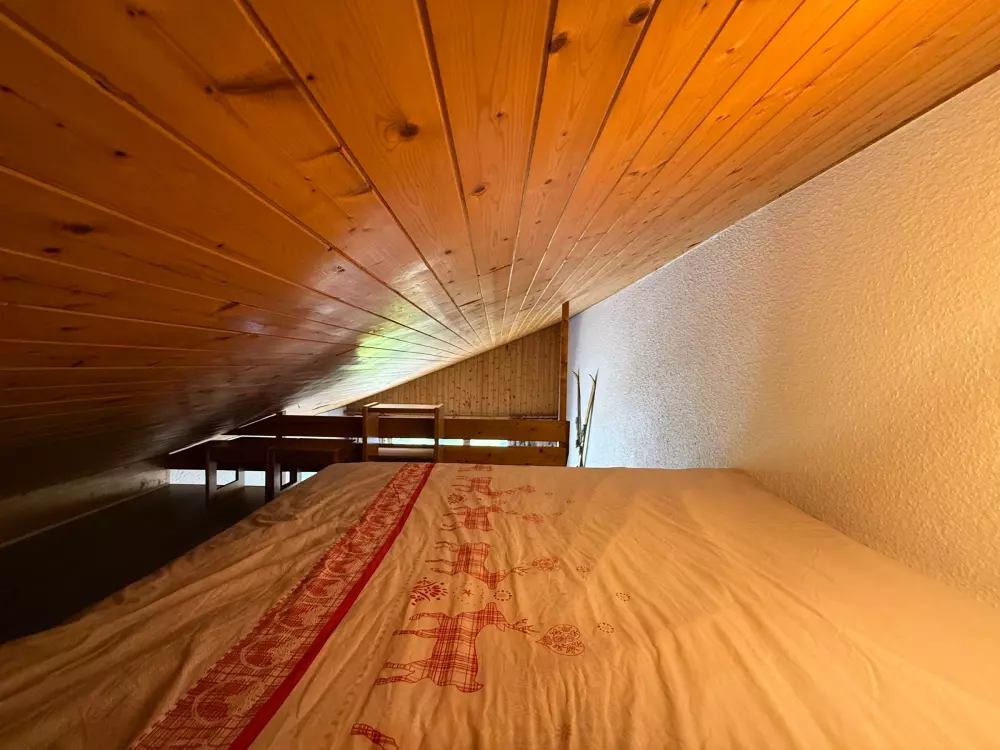 Location de Vacances Les Saisies 78