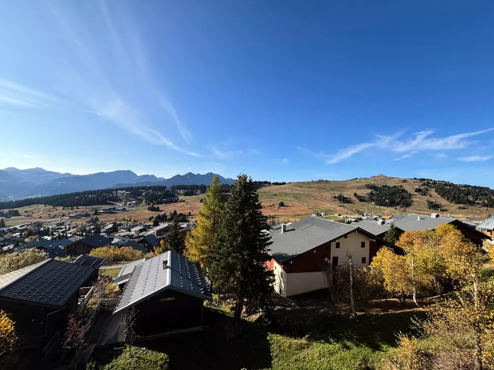 Location de Vacances Les Saisies 85