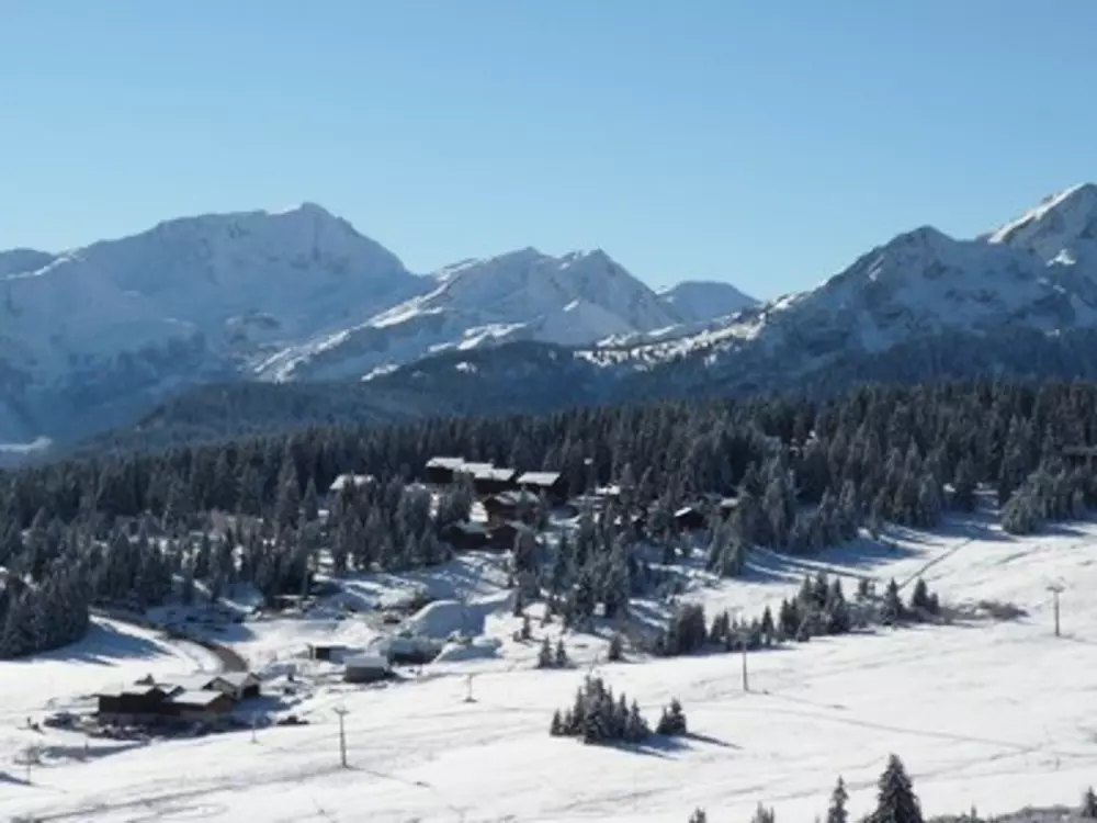 Location de Vacances Les Saisies 85