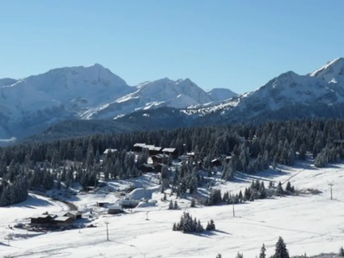Location de Vacances Les Saisies 85