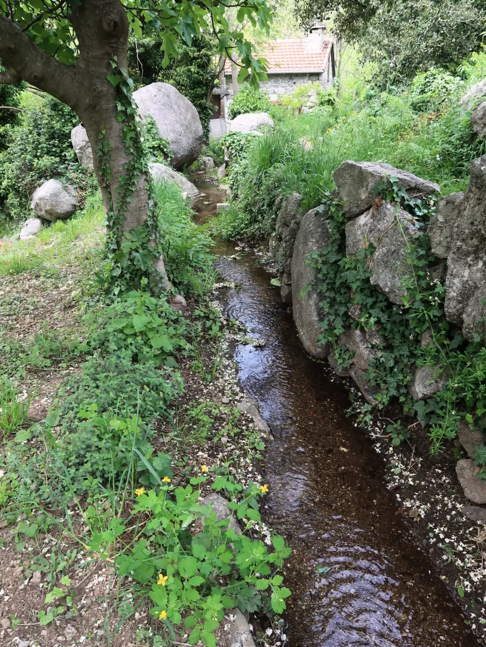 Maison de Vacances Les Vans