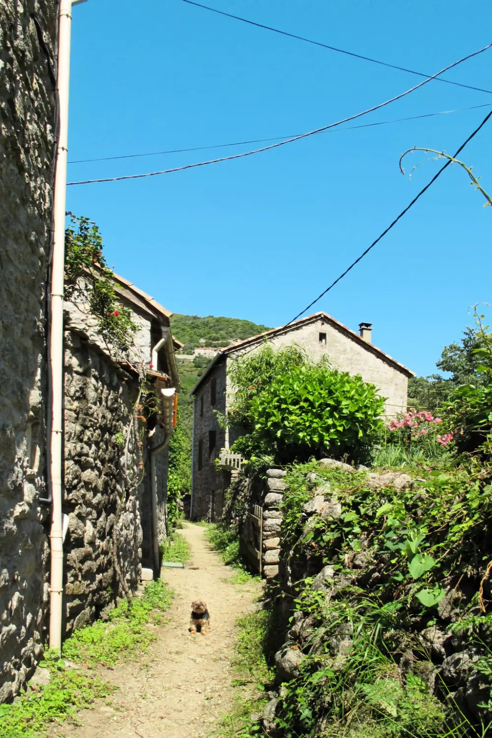 Maison de Vacances Les Vans