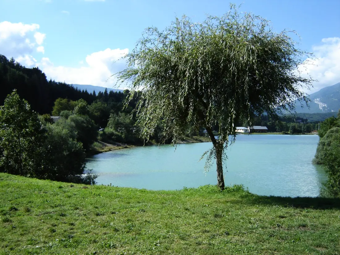 Camping de l'Île du Chéran 3 étoiles★★★