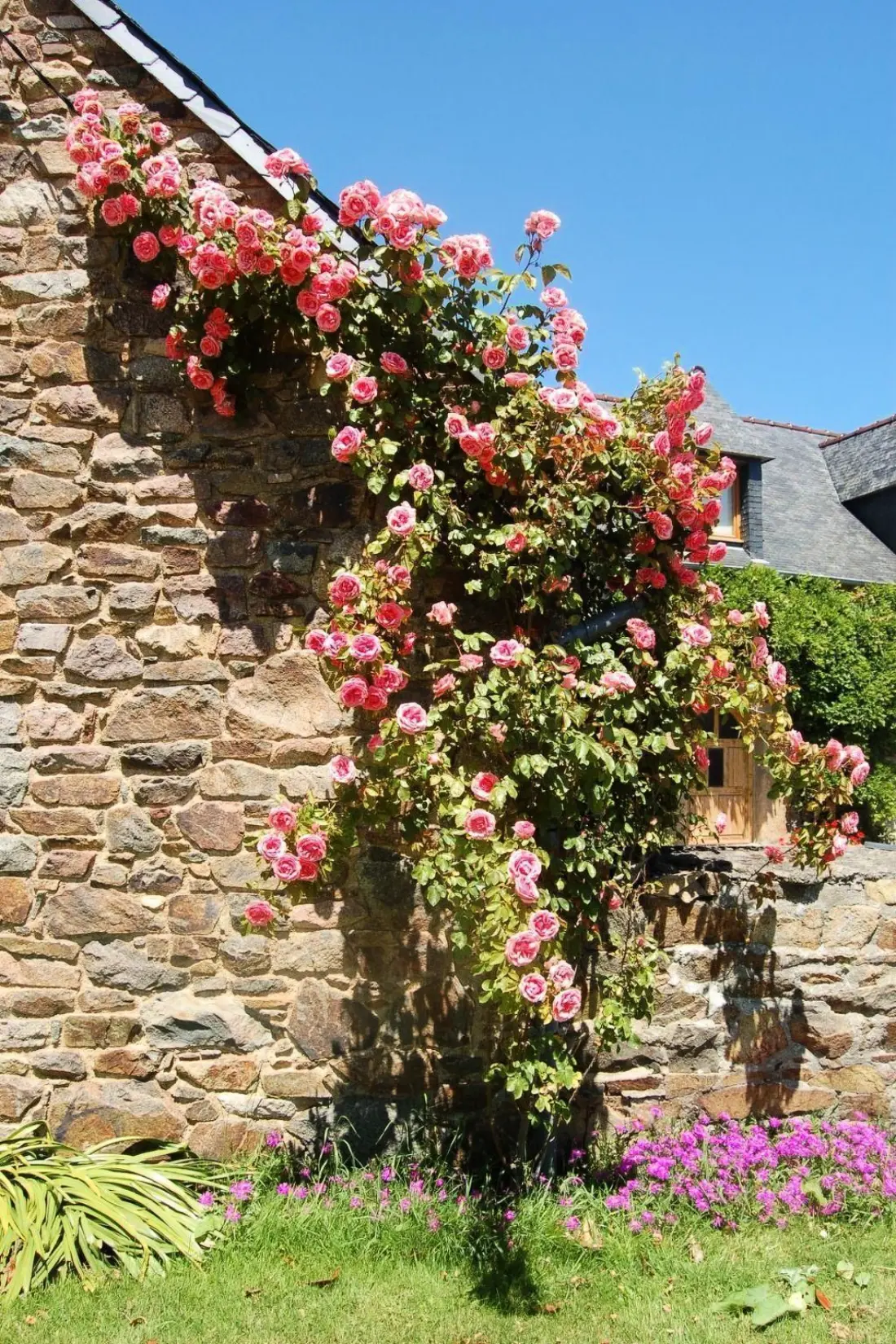 Maison de Vacances Lézardrieux