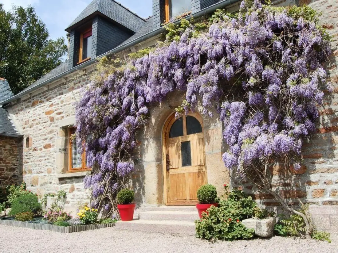 Maison de Vacances Lézardrieux