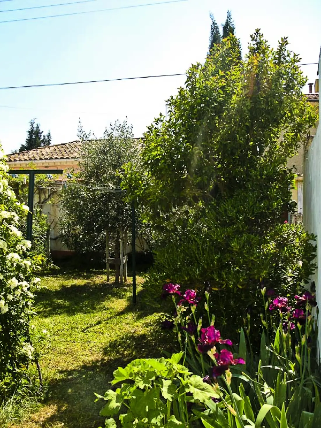 Gîte de France à Lezignan Corbieres  1