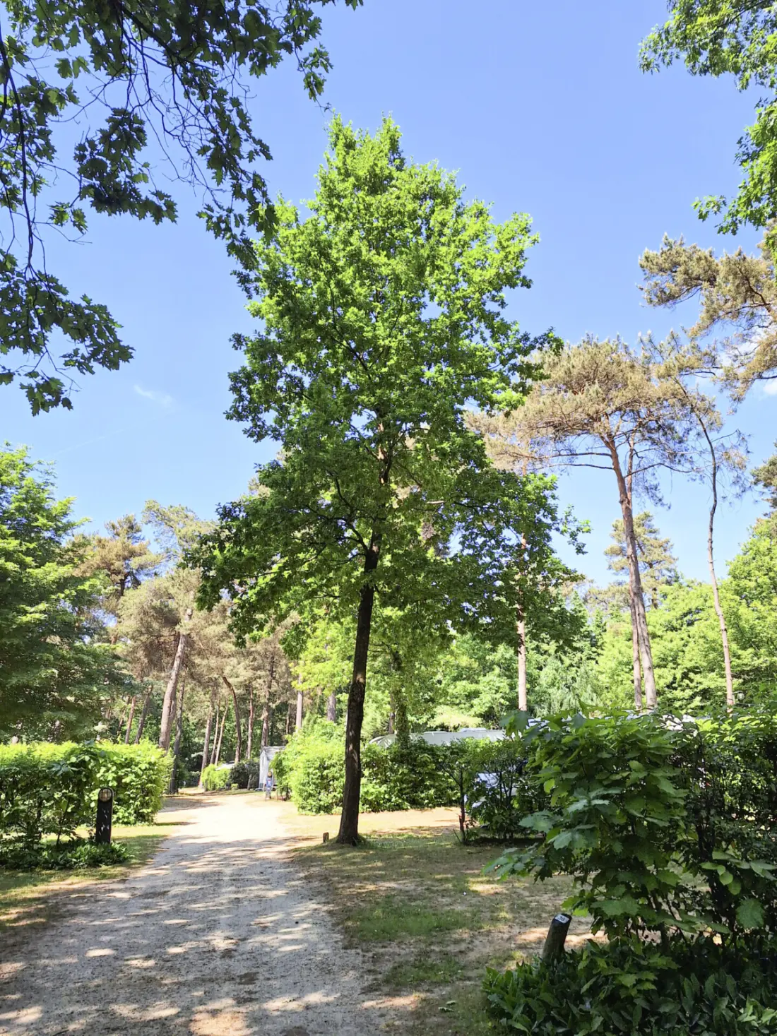 Camping Kempen