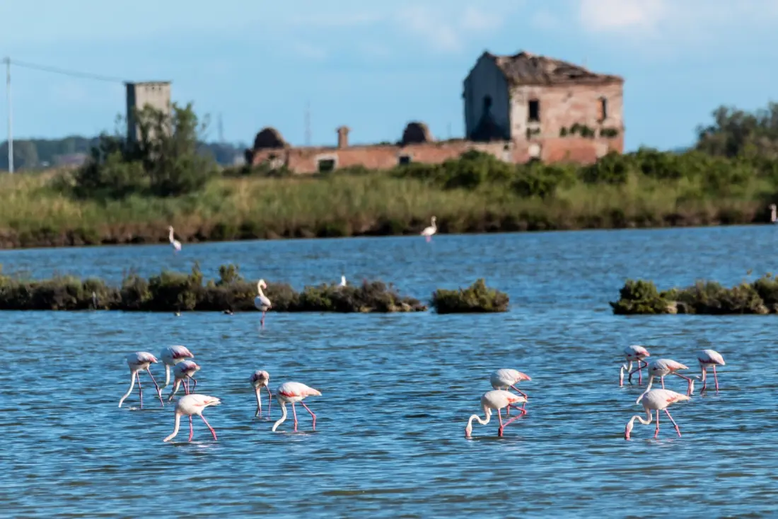 Camping Club del Sole Vigna sul Mar Family Collection 4 étoiles★★★★
