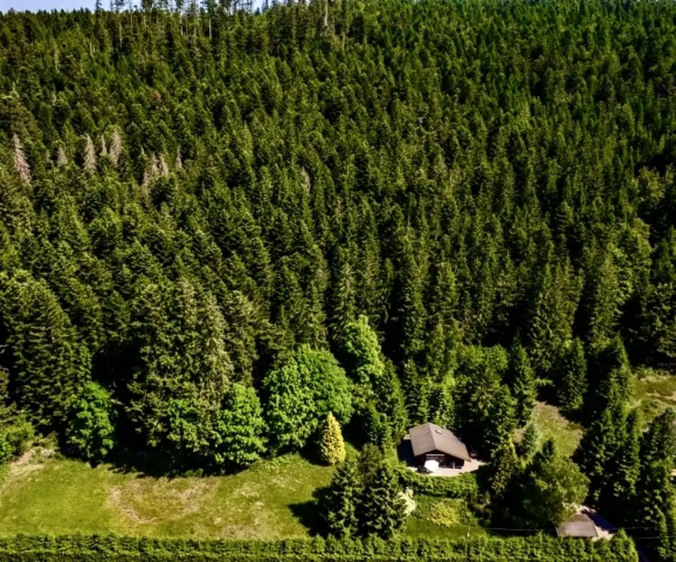 Petit Paradis à L'abri Des Regards :)