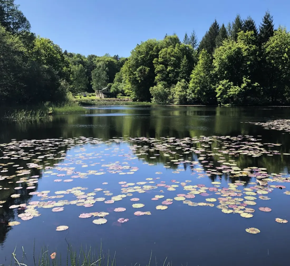 Gîte de France à Lignareix 3 épis