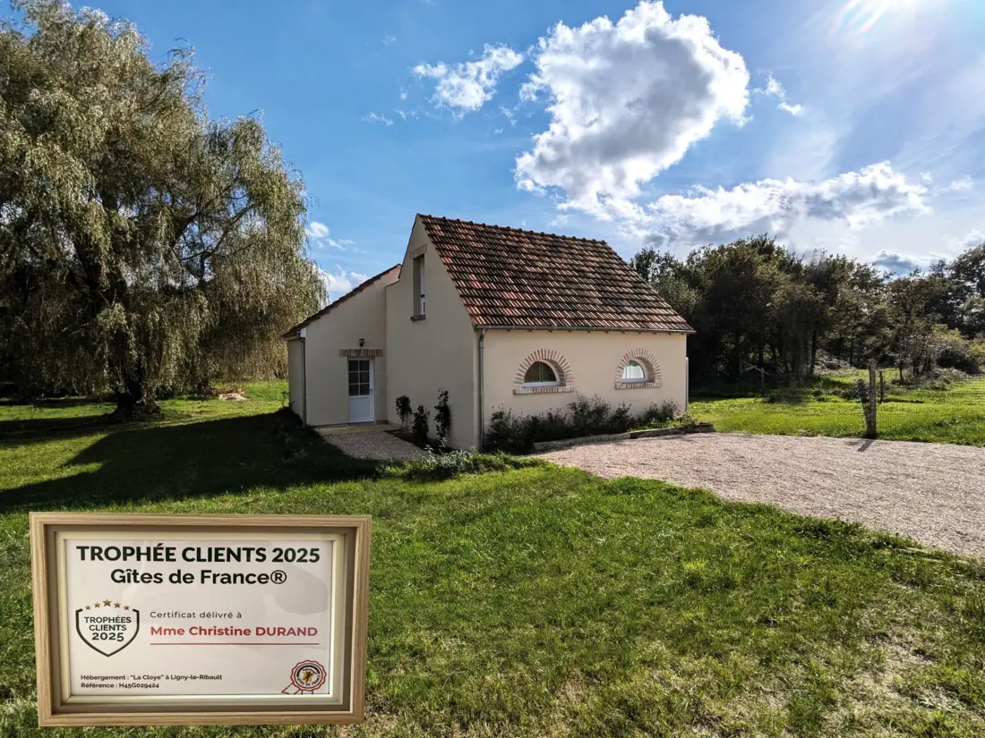 Maison de Vacances Ligny-le-Ribault 11
