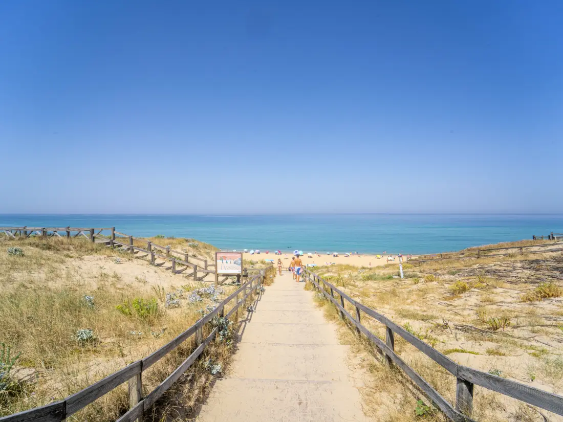 Location de Vacances Lit-et-Mixe 20