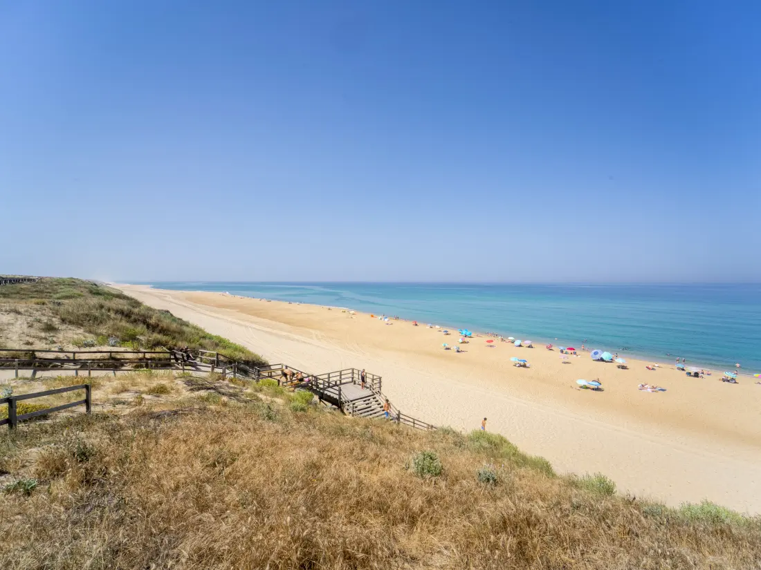 Location de Vacances Lit-et-Mixe 20