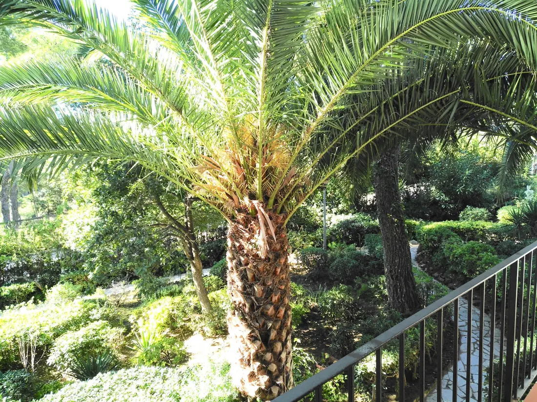 Location de Vacances Llafranc 36