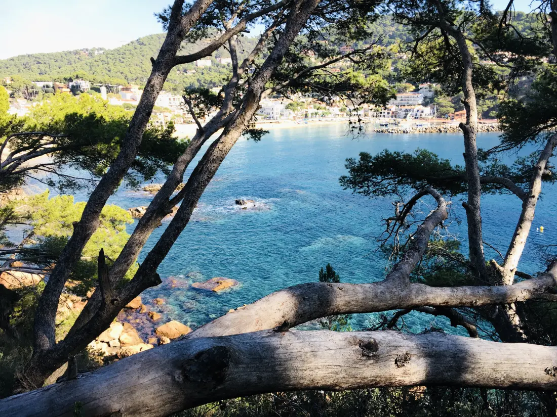 Location de Vacances Llafranc 41