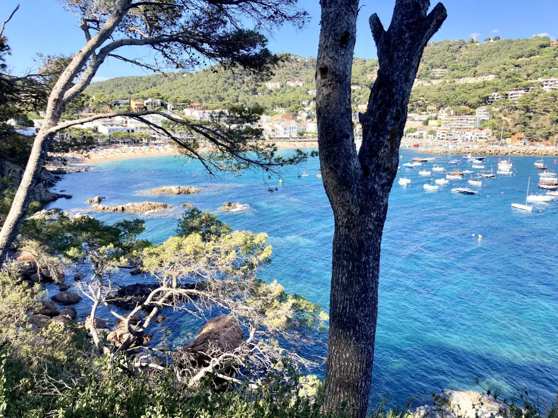 Maison de Vacances Llafranc 59