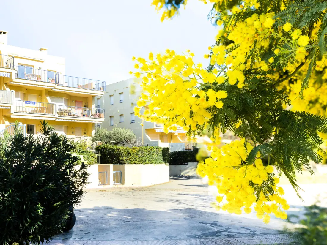 Location de Vacances Llançà 150