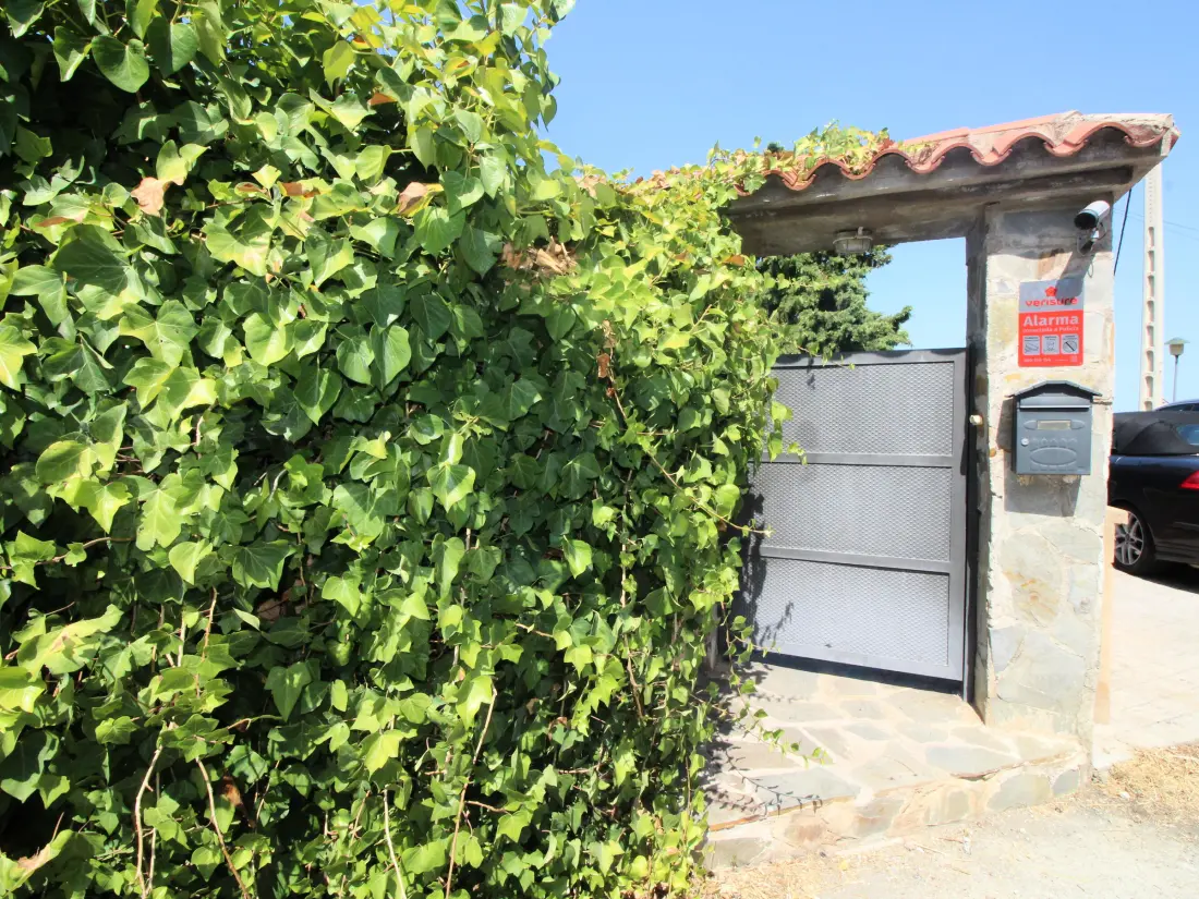 Location de Vacances Llançà 336
